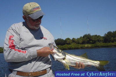 Woody_Snook_Palm_River