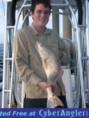 January 19, 2009