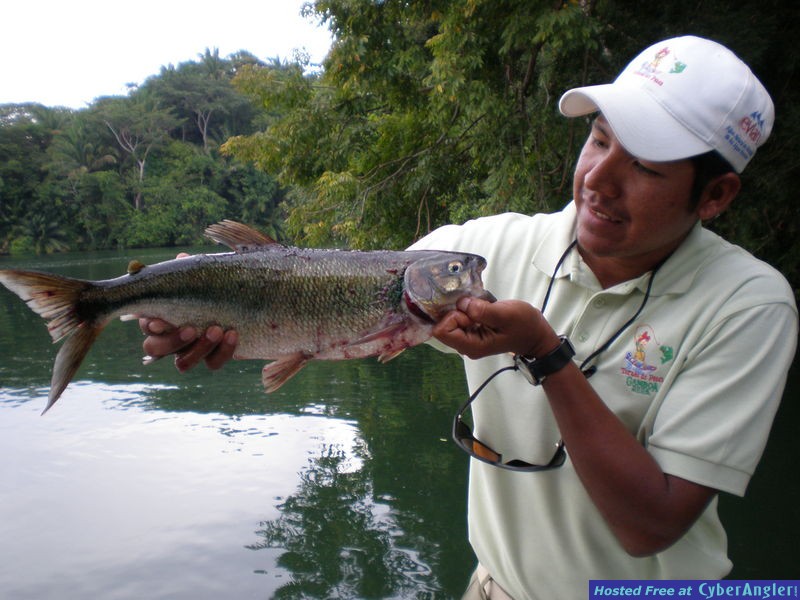 Destination : Gamboa Rainforest Resort