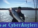 s650433066_403049_9342