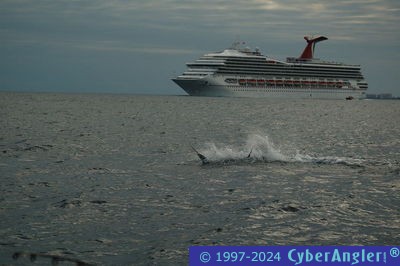 Click to Enlarge Photo