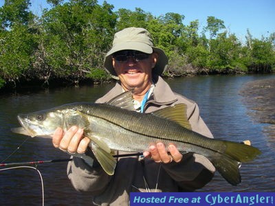 Click to Enlarge Photo