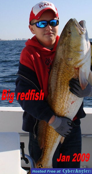 Bull Redfish in January