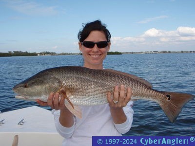 Click to Enlarge Photo