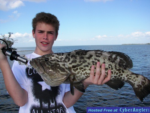 Gag Grouper