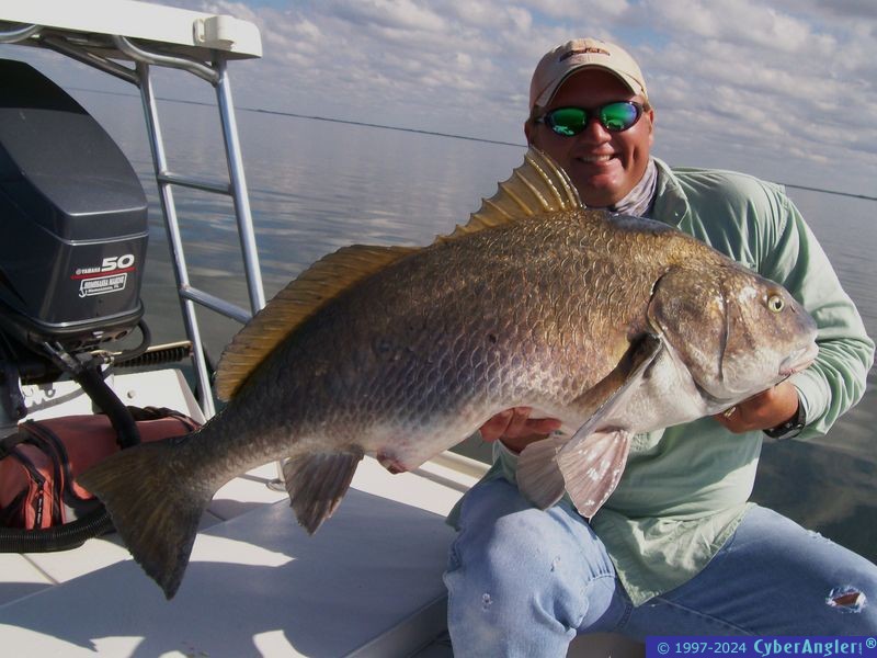 Red Hot Fishing Charters Giant Black Drum