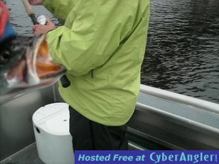www.captdaves.com