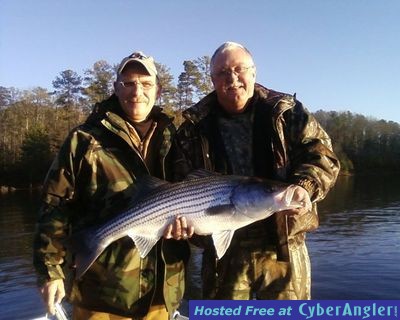 Click to Enlarge Photo