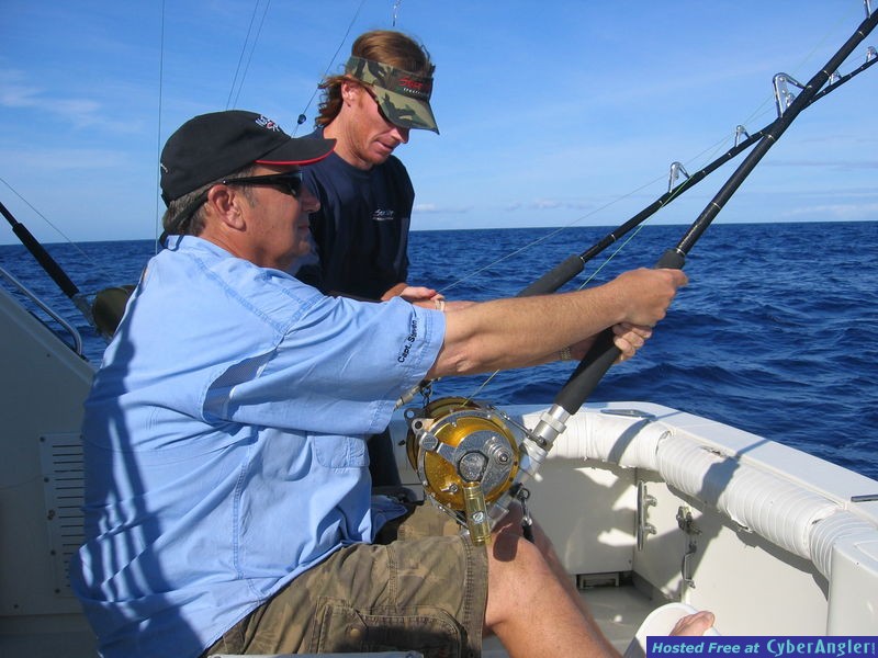 Blue Marlin