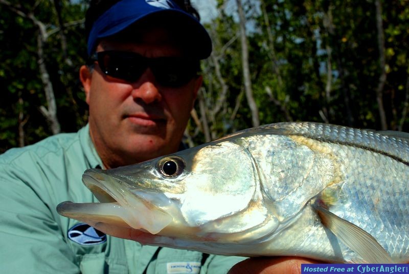 East Cape Snook