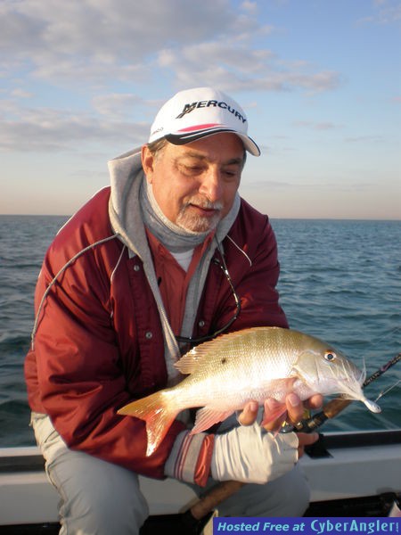 Wintertime Jigging - Biscayne Bay Channels