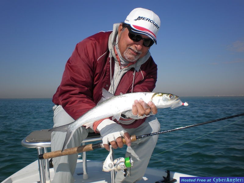 Wintertime Jigging - Biscayne Bay Channels