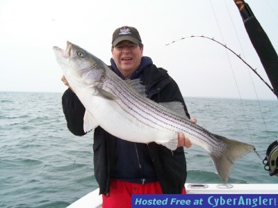OBX hog Rockfish