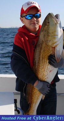 Click to Enlarge Photo