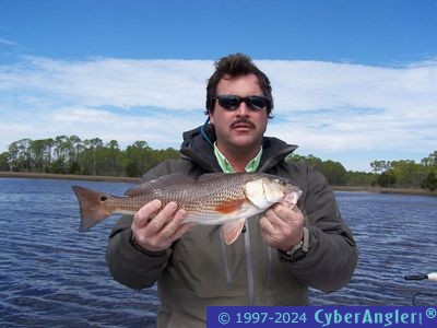 Click to Enlarge Photo