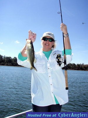 Click to Enlarge Photo