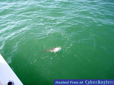 Click to Enlarge Photo