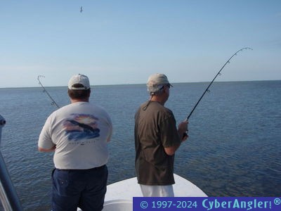 Click to Enlarge Photo