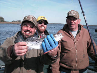 Click to Enlarge Photo