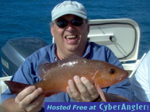 18 inch mangrove snapper