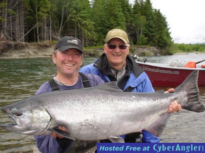 chinook king salmon