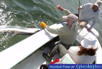 Click to Enlarge Photo