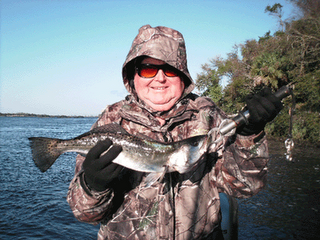 www.captdaves.com
