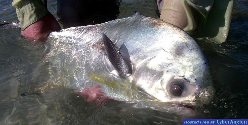 Permit Release