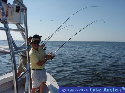 Click to Enlarge Photo