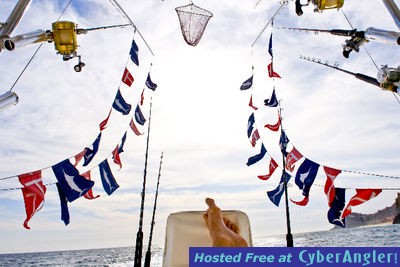 Click to Enlarge Photo