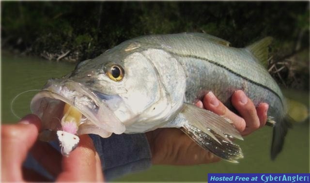 snook1jig