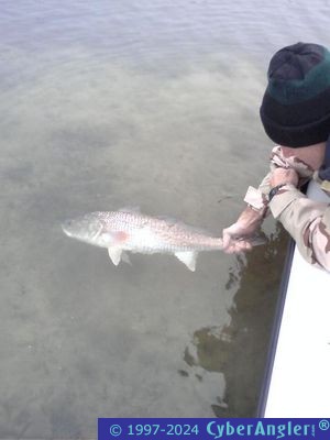 Click to Enlarge Photo