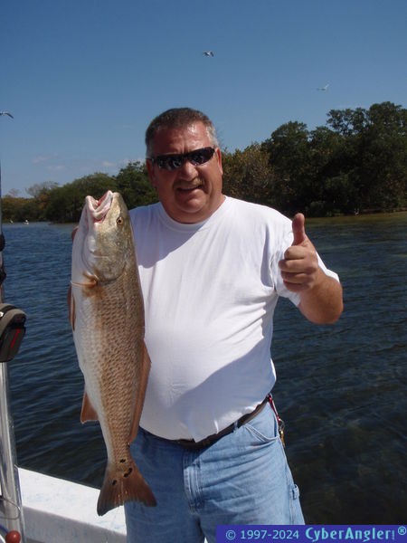 Click to Enlarge Photo