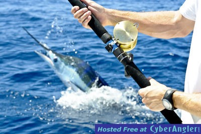 Click to Enlarge Photo