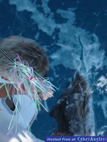 Click to Enlarge Photo