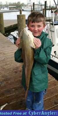 Click to Enlarge Photo