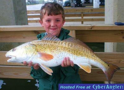 Click to Enlarge Photo