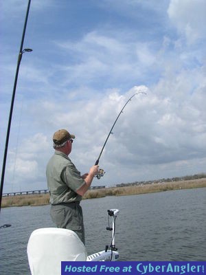 Click to Enlarge Photo