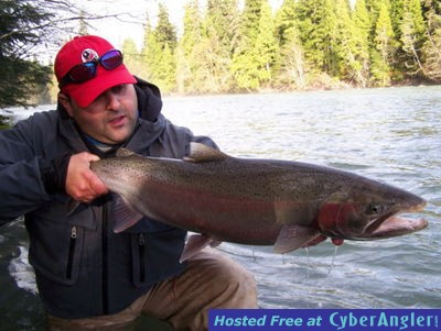 skeena kalum river steelhead