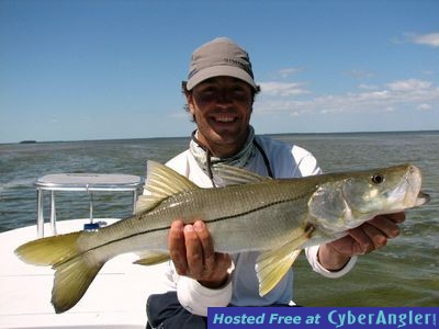 Click to Enlarge Photo