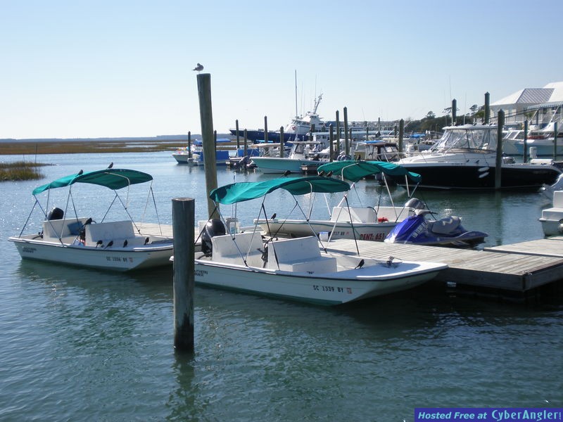 Dock and Seawall Tactics for Florida Snook