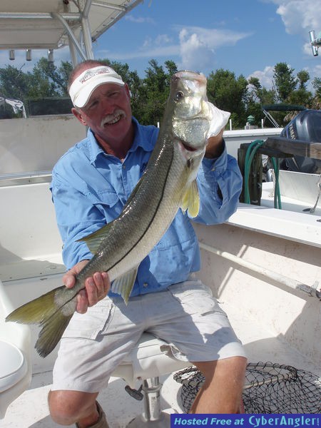 Dock and Seawall Tactics for Florida Snook