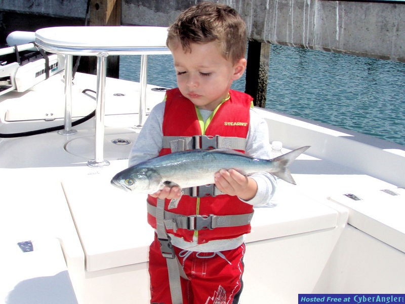 3_yr_old_Franisco_and_bluefish