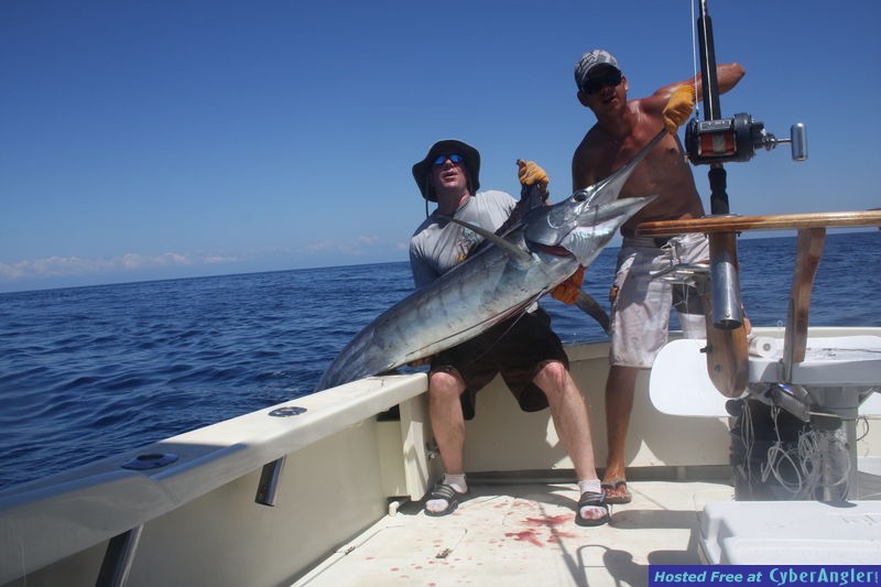 Costa Rica Blue Marlin