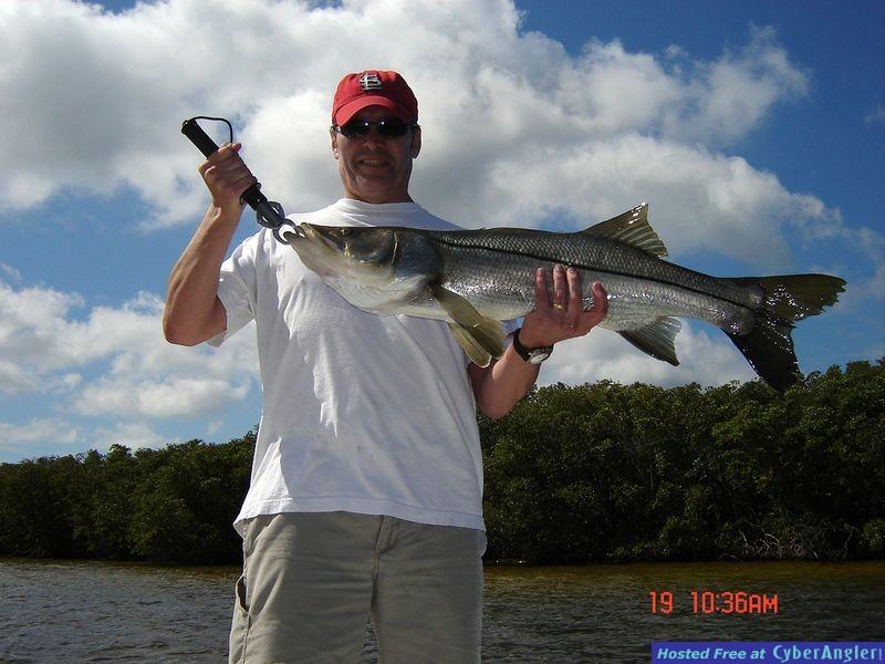 16 lbs snook