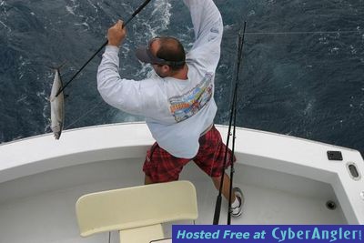 Click to Enlarge Photo