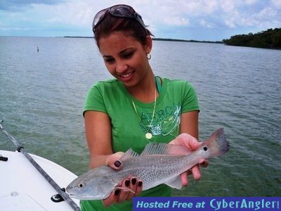 Click to Enlarge Photo