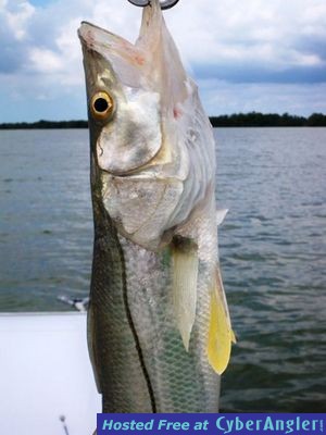 Click to Enlarge Photo