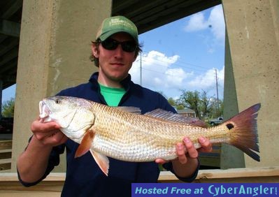 Click to Enlarge Photo