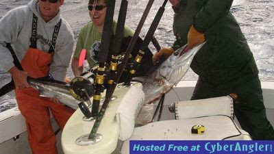 Click to Enlarge Photo